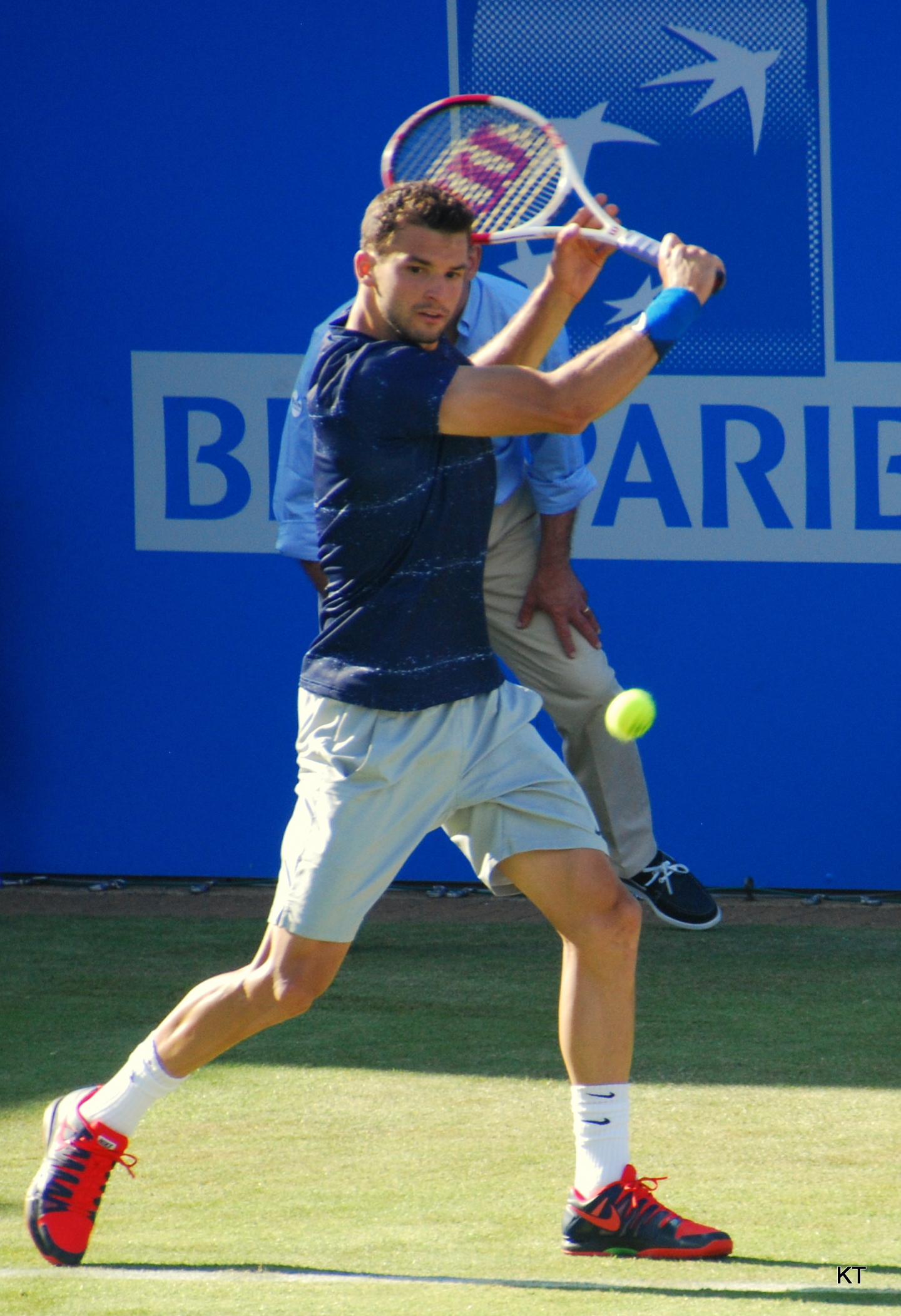 Grigor Dimitrov - Wikipedia