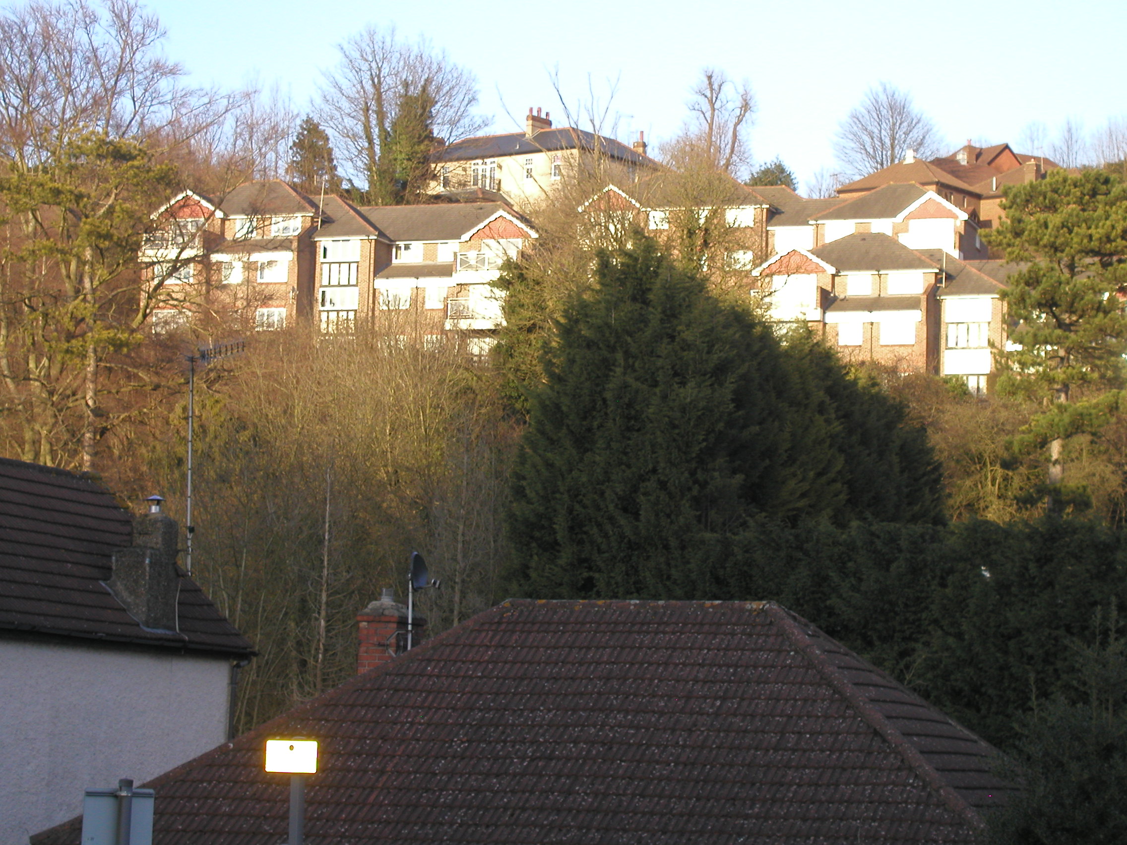 Whyteleafe