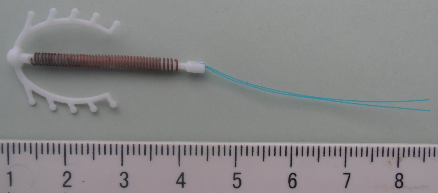 File:Cable Needles.JPG - Wikipedia