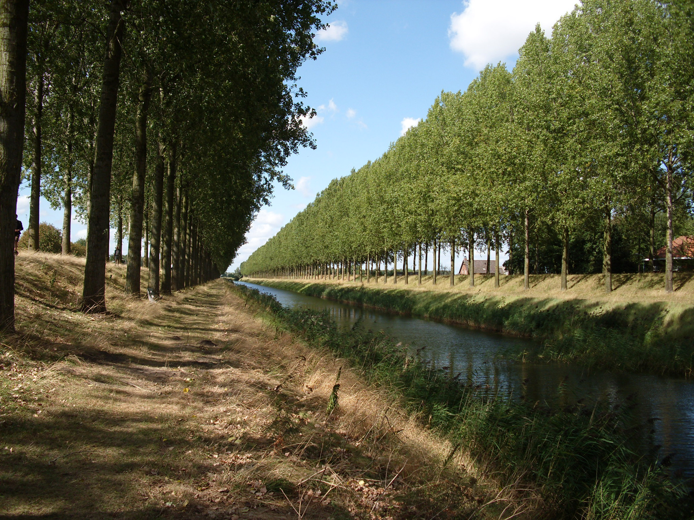 File:Kanaal ter hoogte van Philippine - Nederland.jpg - Commons