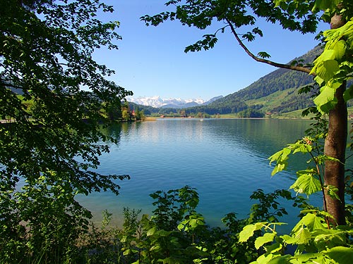 File:Lake Ägeri (Ägerisee) at Morgarten.jpg
