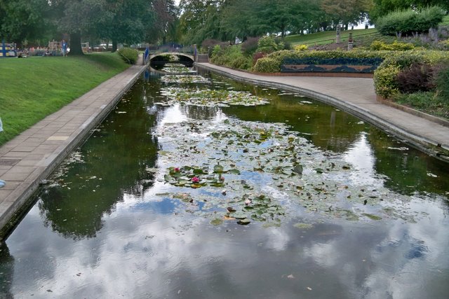 Lily Ponds - Evesham - geograph.org.uk - 2591805