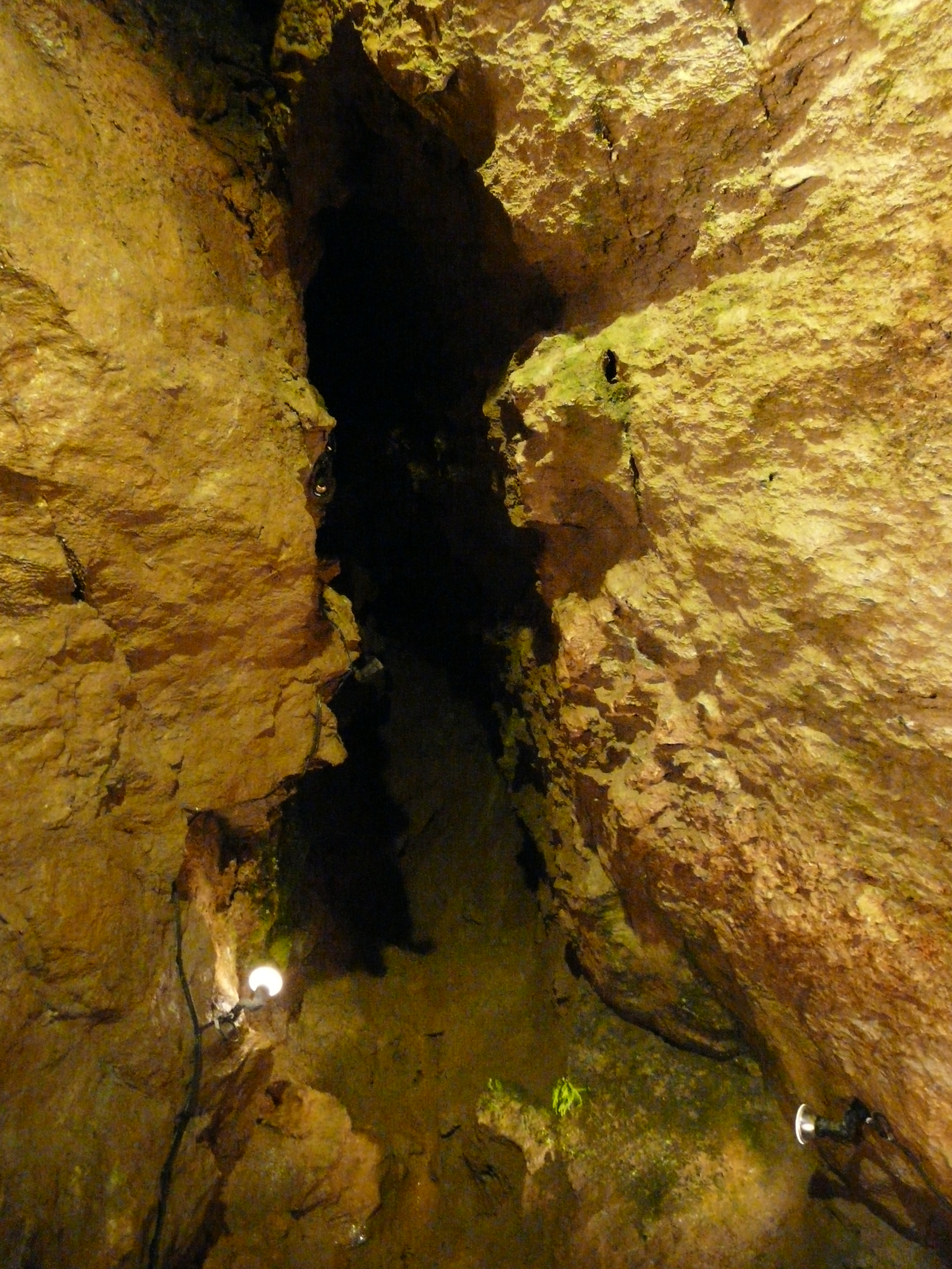 File Lourdes Pic Du Jer Grotte 1 Jpg Wikimedia Commons