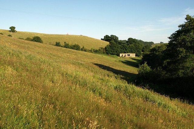 File:Meadow below Ingsdon Manor - geograph.org.uk - 906871.jpg