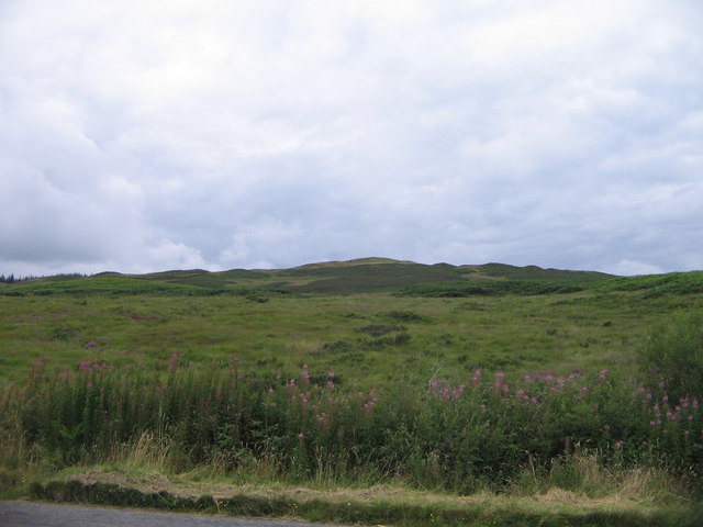 File:Moorland - geograph.org.uk - 927580.jpg