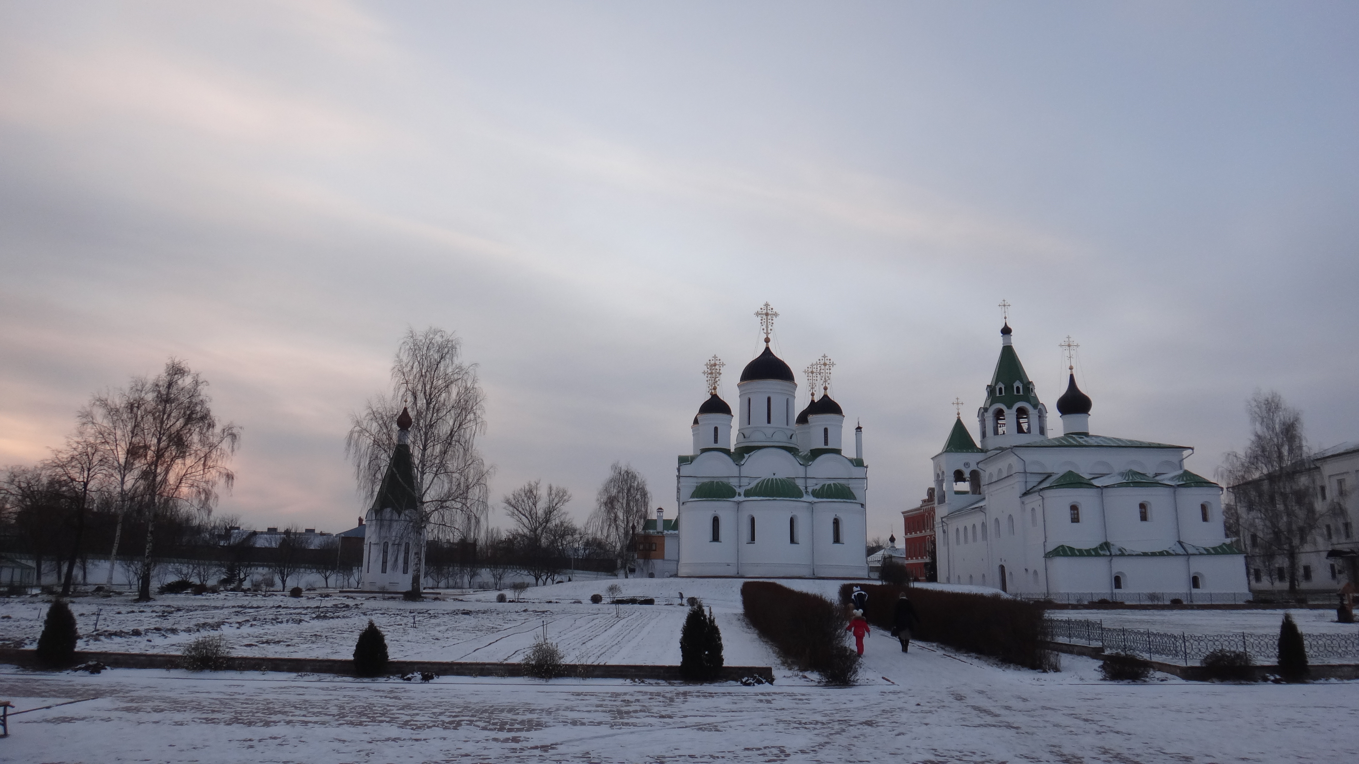 Владимирская область муром работа. Дмитриевы горы. Муром фото. Остров Муром. Города России. Владимир.