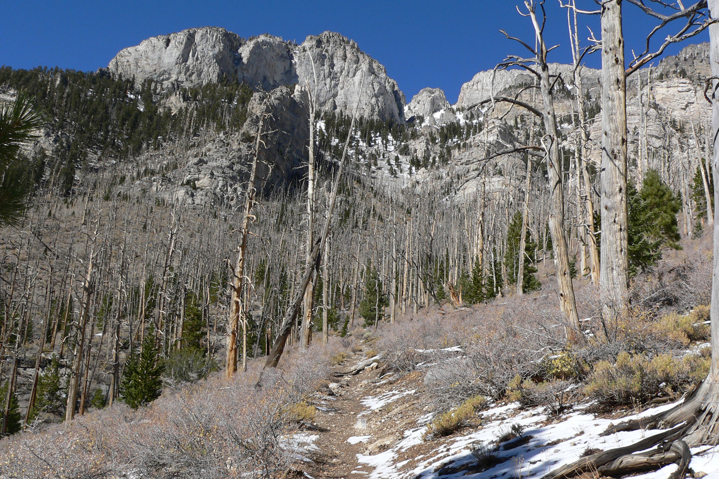 Gray trail loop