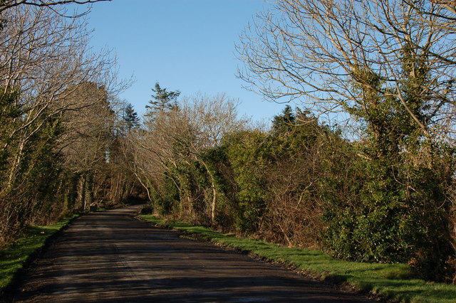 File:Old road near Tullymurry - geograph.org.uk - 340566.jpg