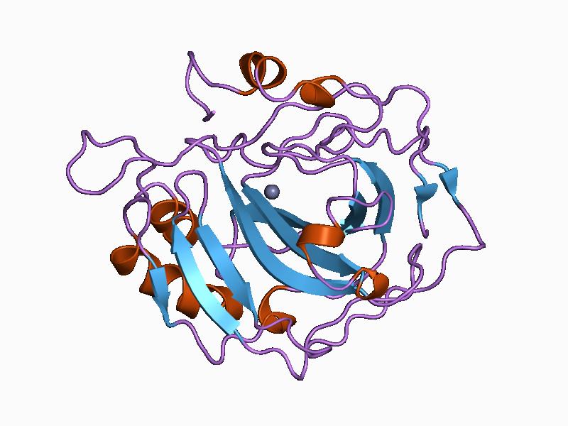 File:PDB 1cve EBI.jpg