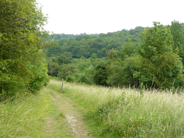 Park Downs, Chipstead - geograph.org.uk - 1386595