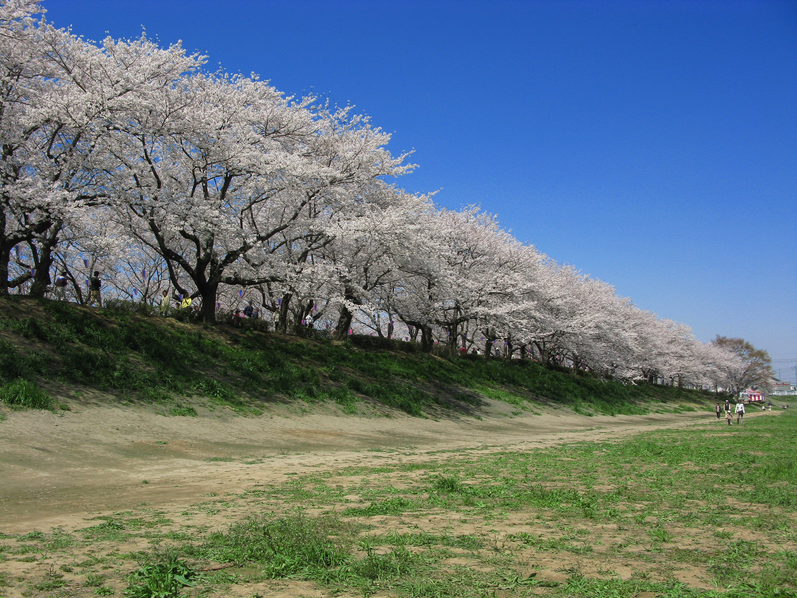 幸手市 - Wikipedia