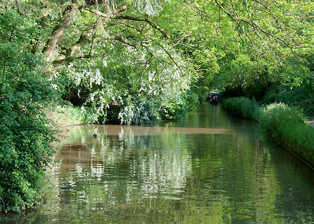 File:Shropshire Union Canal approaching Tyrley Locks, Staffordshire - geograph.org.uk - 1606244.jpg