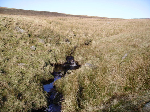 File:Storthes Gill - geograph.org.uk - 340655.jpg