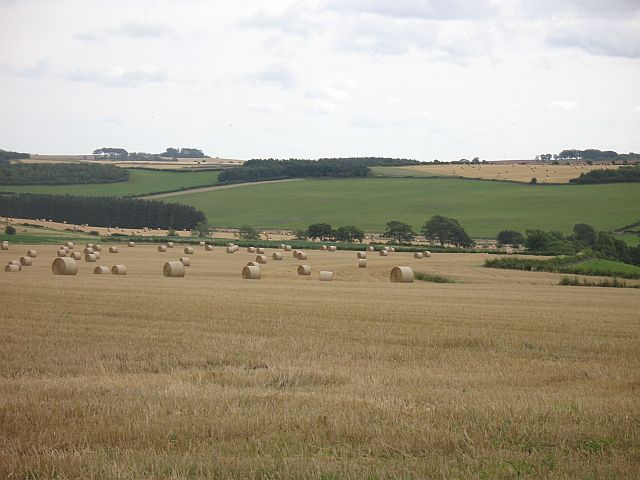 File:Straw bales, Auchencrow Mains - geograph.org.uk - 562909.jpg