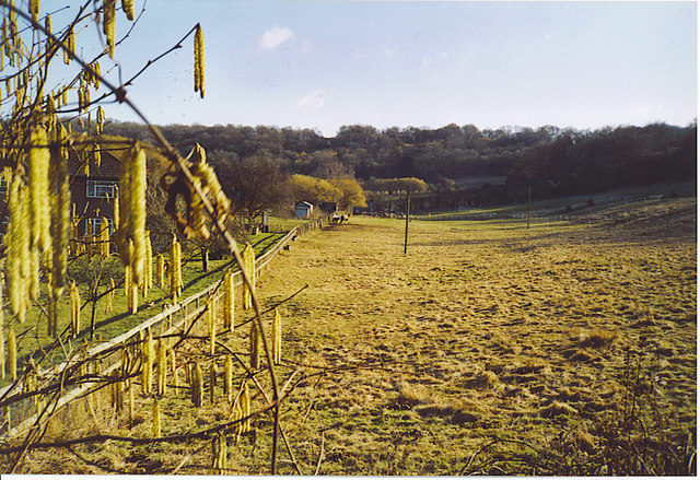 File:Sunray Farm, West Clandon. - geograph.org.uk - 140724.jpg