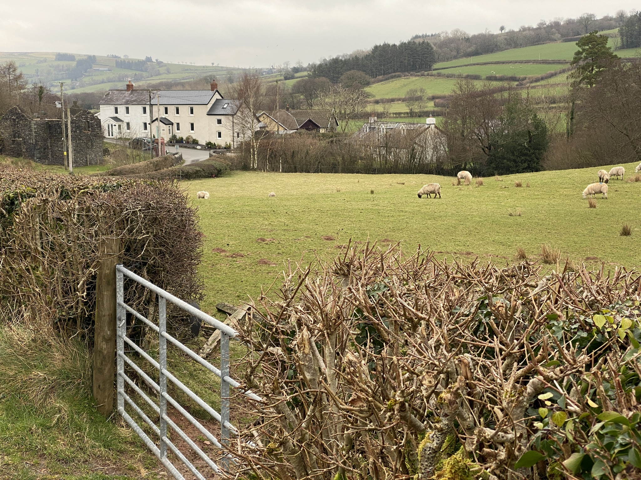 The duchy of hamlet valley. Marden Herefordshire. Brook Farm Marden Hereford hr1 3et.