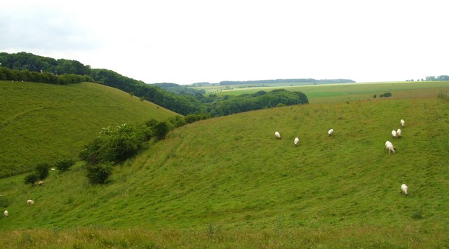 File:The head of Keasey Dale - geograph.org.uk - 1399816.jpg