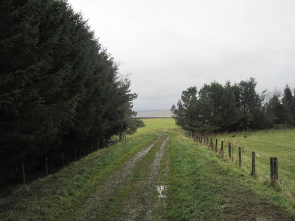 File:Track leading to Gorcock Hill and Open Access Land - geograph.org.uk - 3239389.jpg