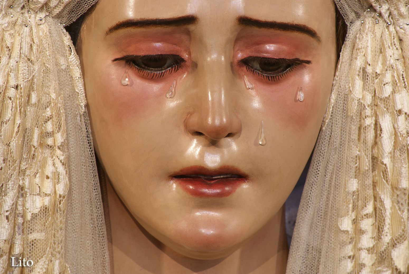 Donde esta la virgen de los desamparados en valencia