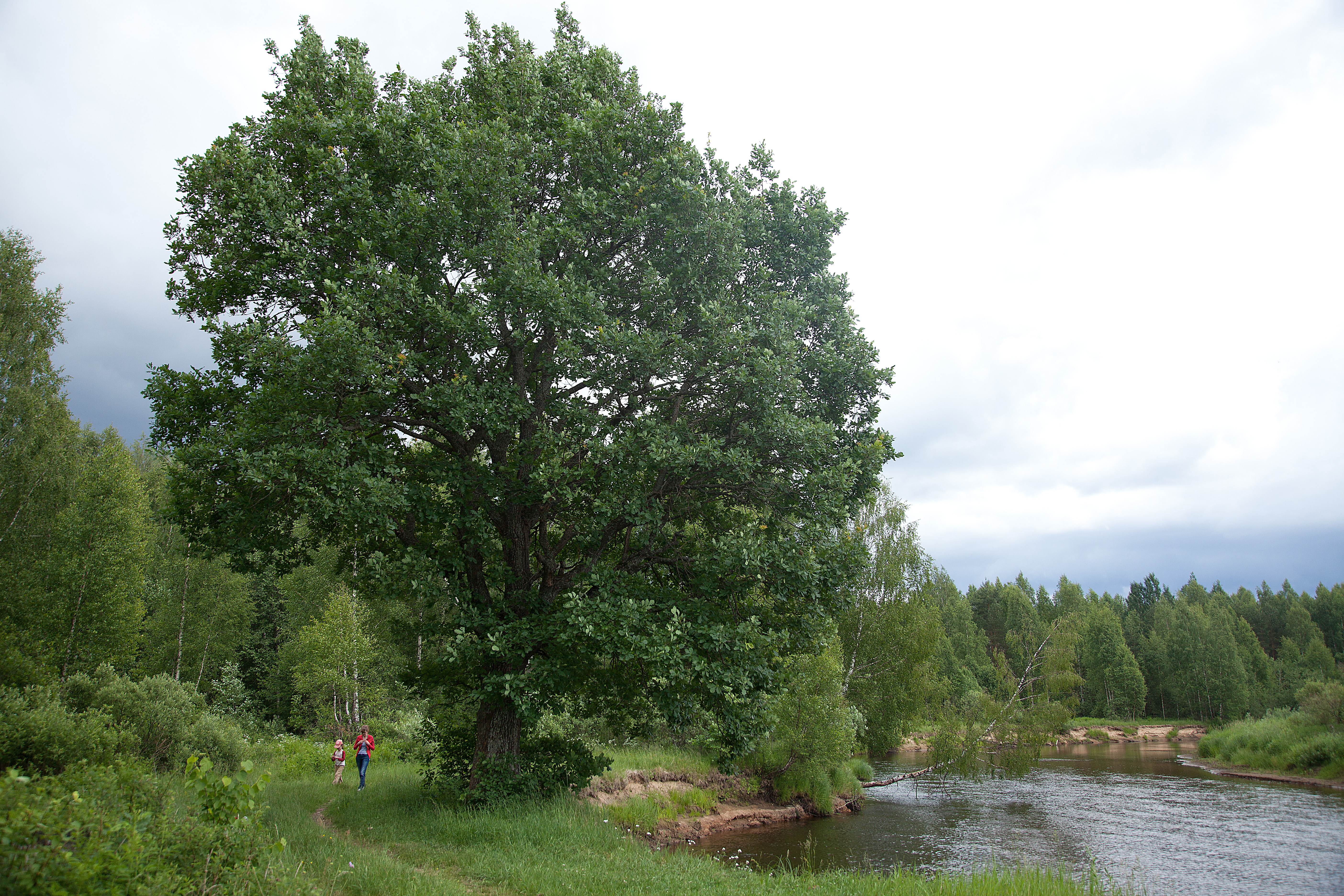 River s bank