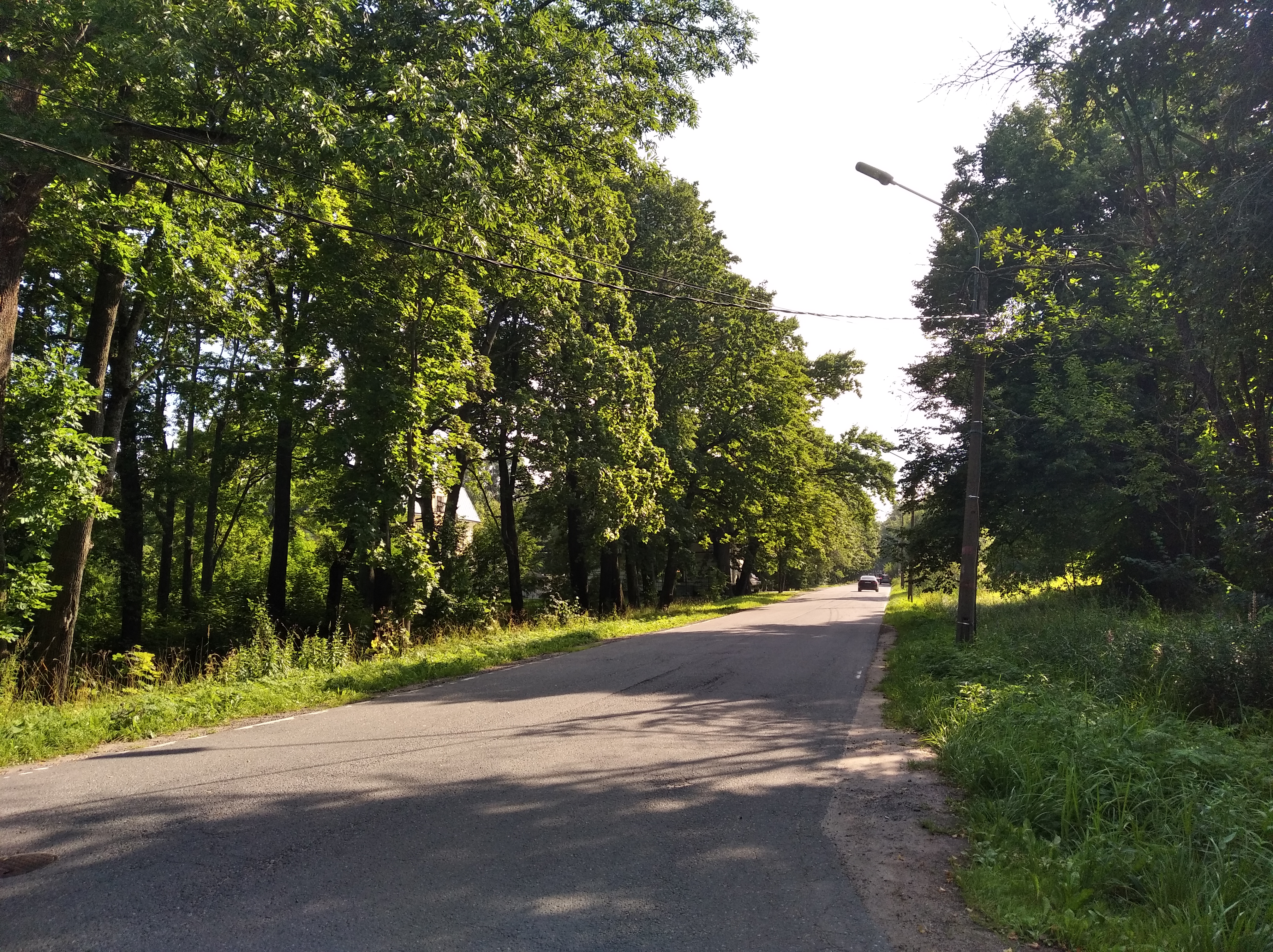 В каком городе золотая улица. Улица морского десанта Петергоф. Петергоф улицы. Золотая улица. Прогонная улица Петергоф.