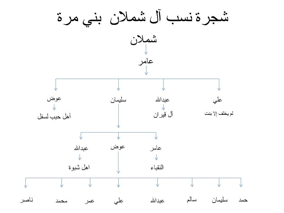 61dea28106e نسب قبيلة آل مره Krakatets Com