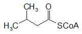 3-metilbutiril CoA.png