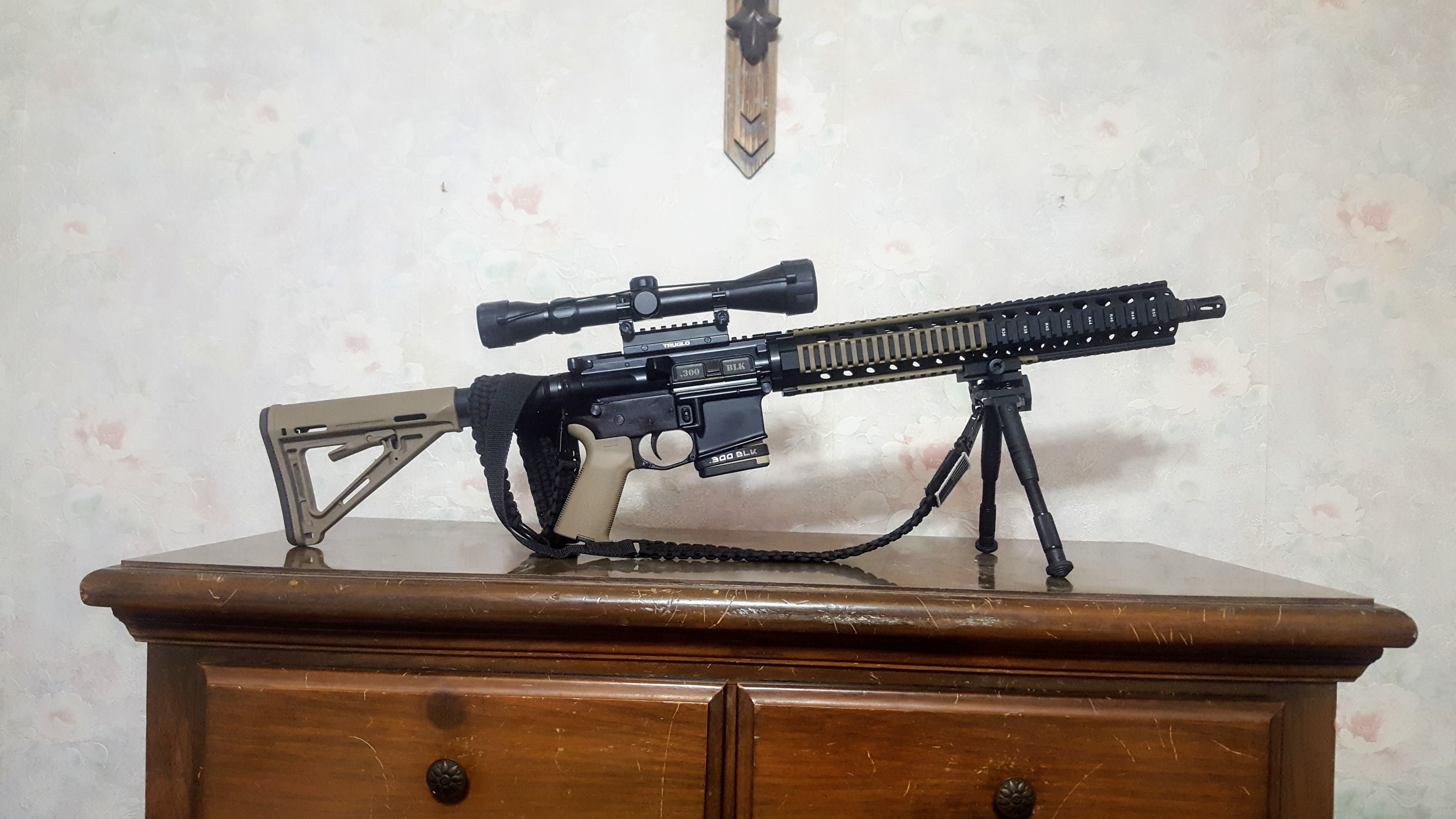 Palmetto state armory pa-15 review