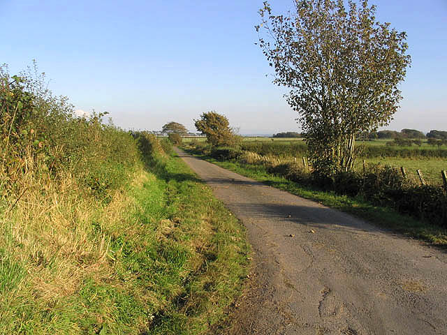 File:A country road - geograph.org.uk - 574937.jpg