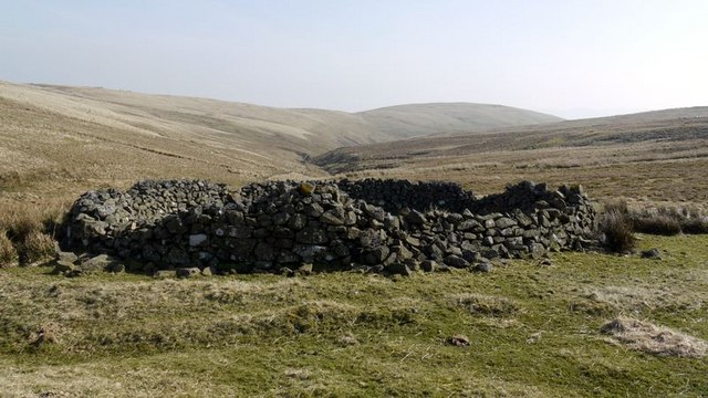 File:Another sheepfold in south Cheviot sheep country - geograph.org.uk - 1213527.jpg