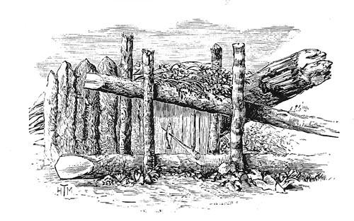 File:Beaver trap 1892.jpg - Wikipedia