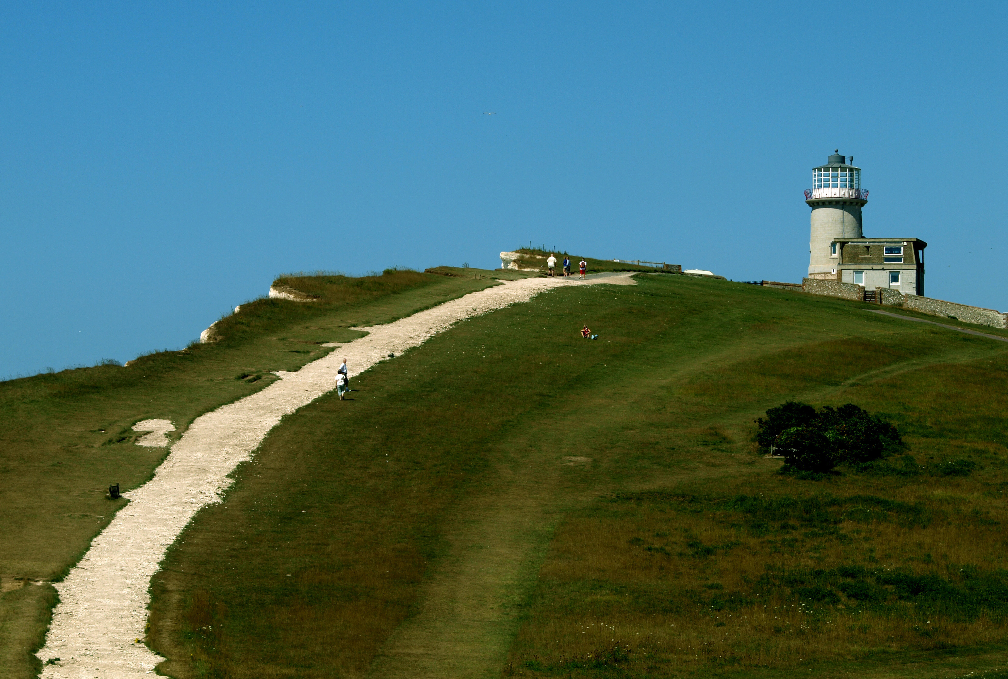 Belle tout