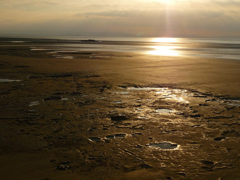 File:Berrow - Mud And Sun - geograph.org.uk - 2799489.jpg