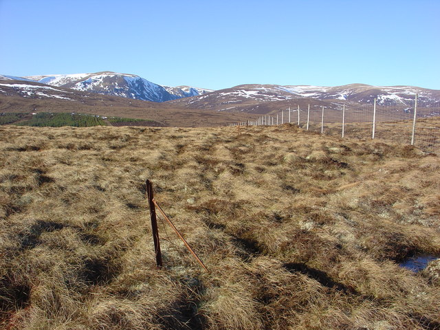 File:Boundary Fence - geograph.org.uk - 688566.jpg