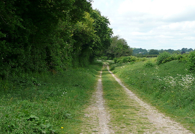 Cheriton Lane - geograph.org.uk - 2423677