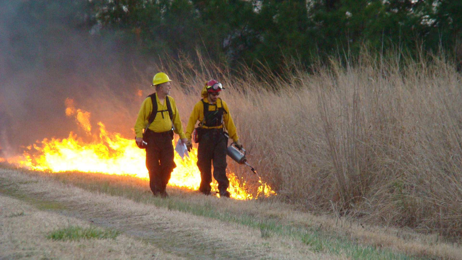 Fire jumping.