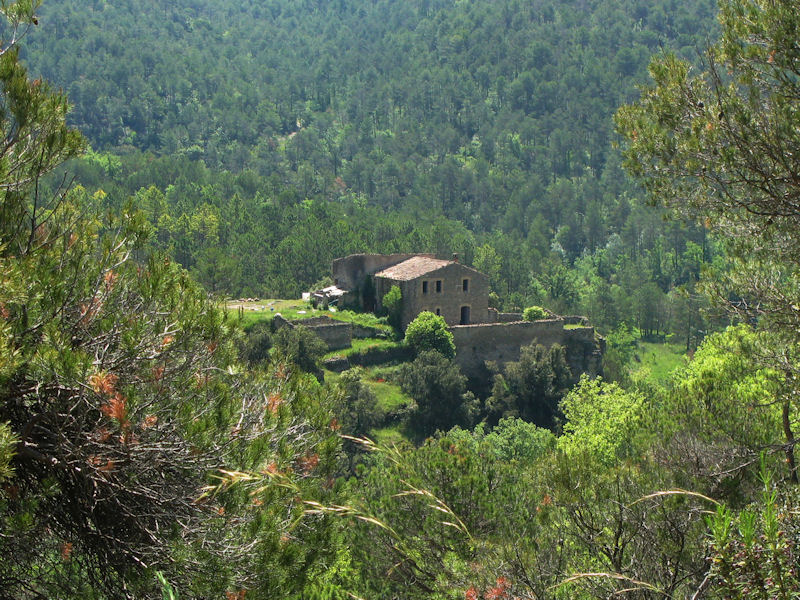 File:Els Sors - Castellcir 20080529 CIC 2168.jpg