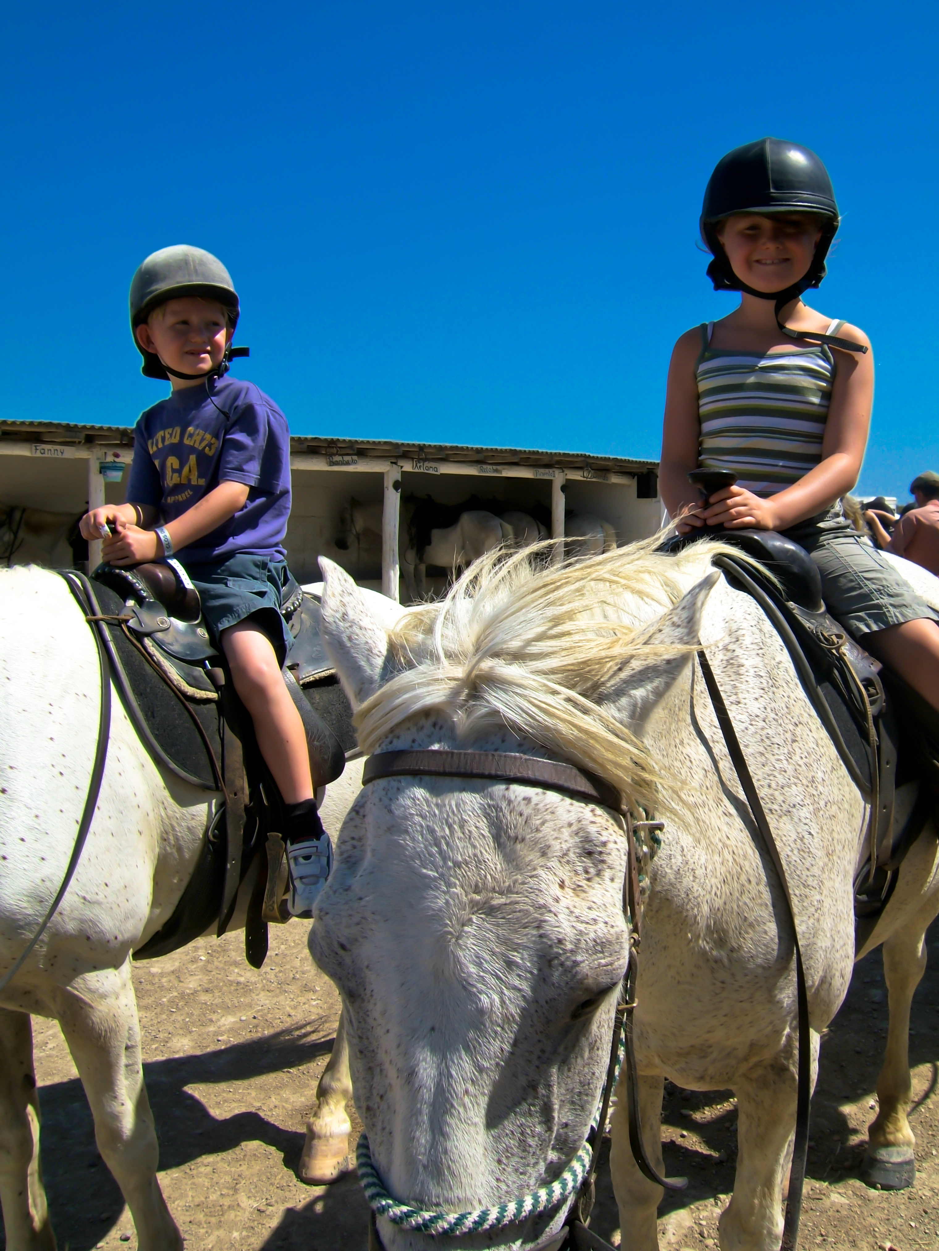 Etre cavalier : galops 1 à 4 de Fédération Française D'équitation