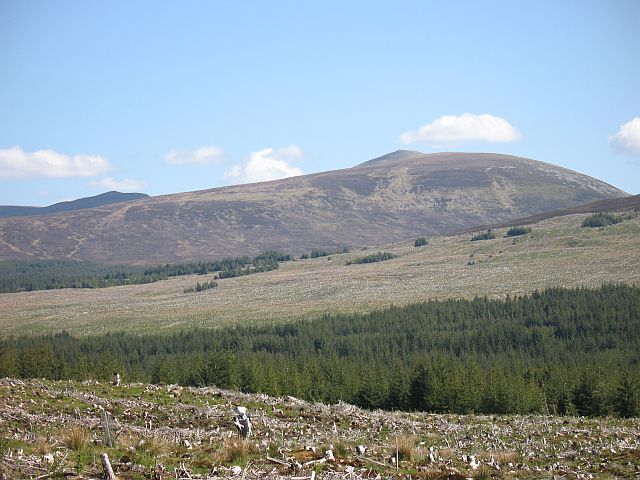 File:Felled area, Rannoch Forest - geograph.org.uk - 829645.jpg