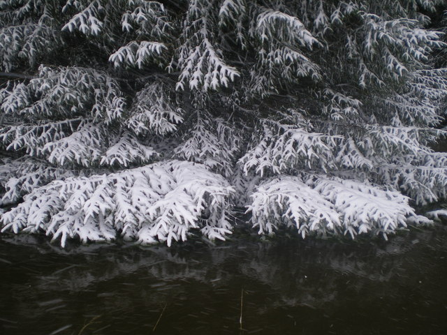 File:Flooded pool next to Bridleway - geograph.org.uk - 1188813.jpg