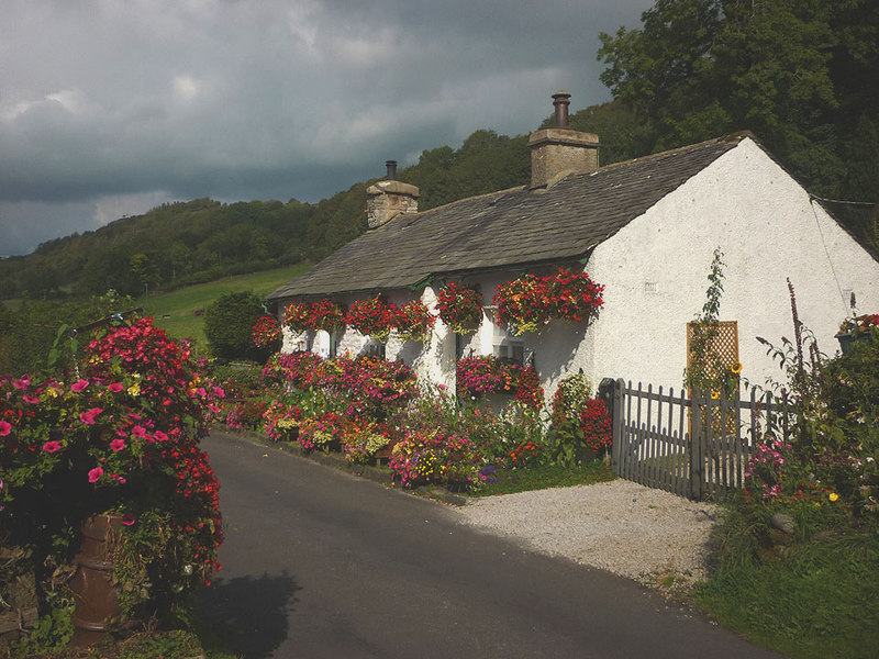 Flowery cottage on Parkend Lane - geograph.org.uk - 4667025