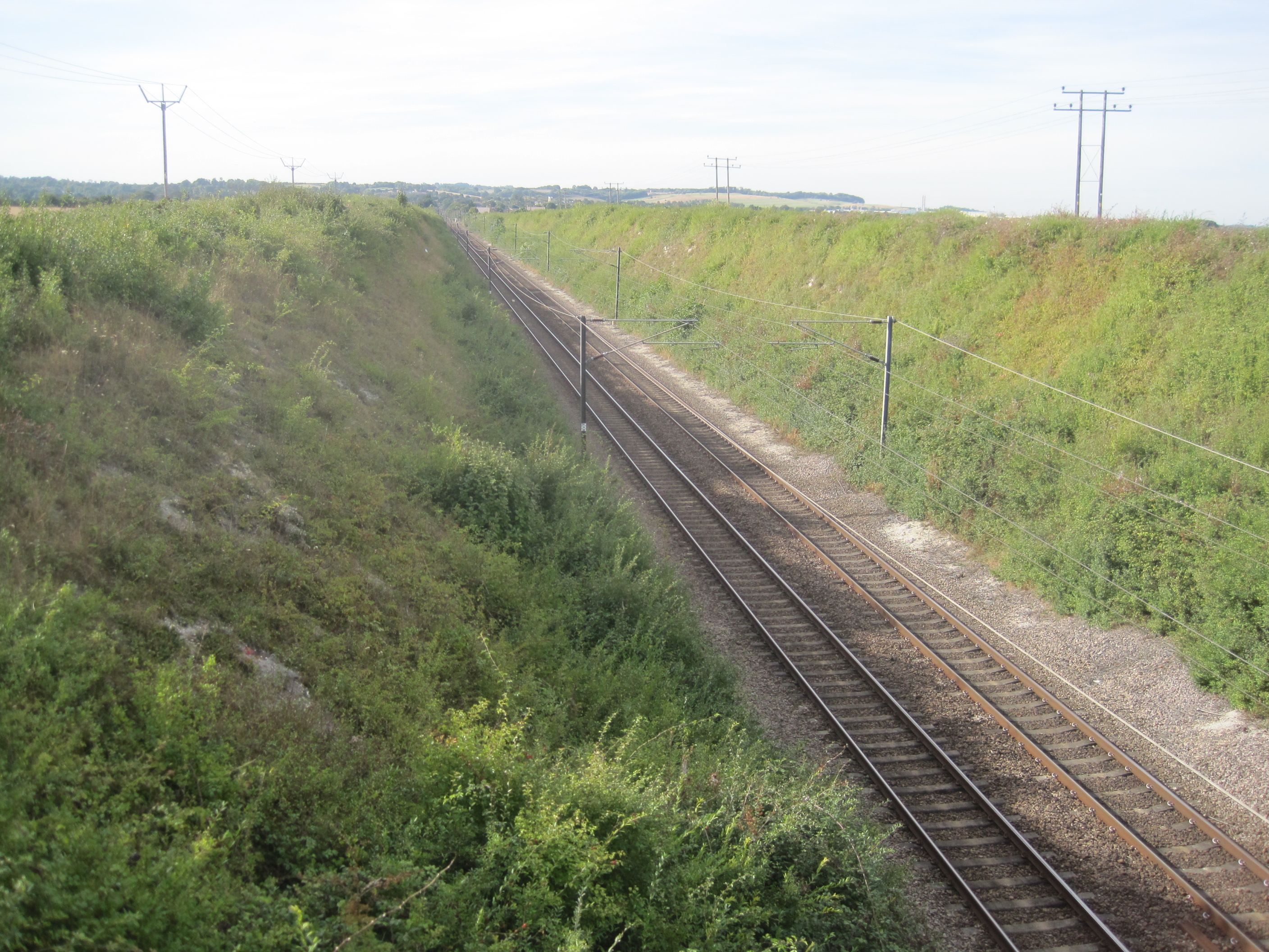 Holland Hall (Melbourn) Railway Cutting