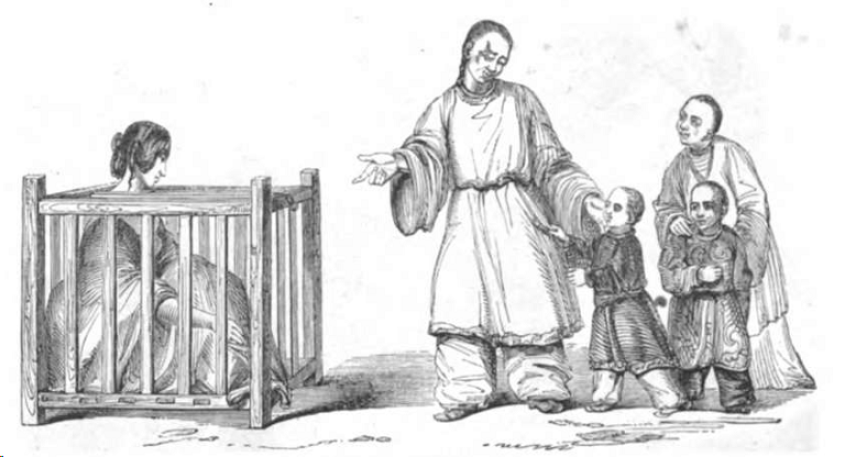 File:Illustrirte Zeitung (1843) 13 203 1 Der Käfich der Mistreß Noble.png