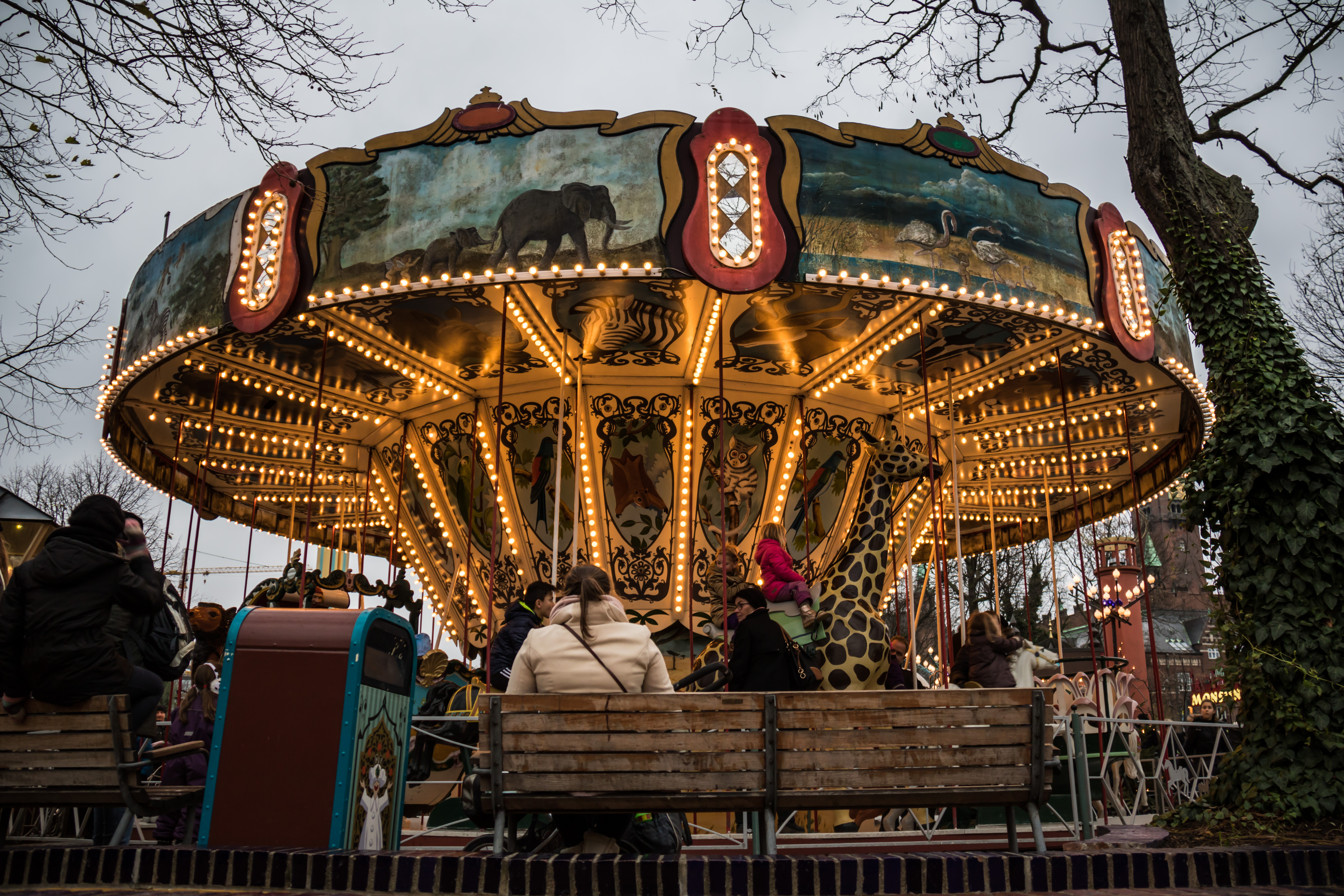 Merry go round of life