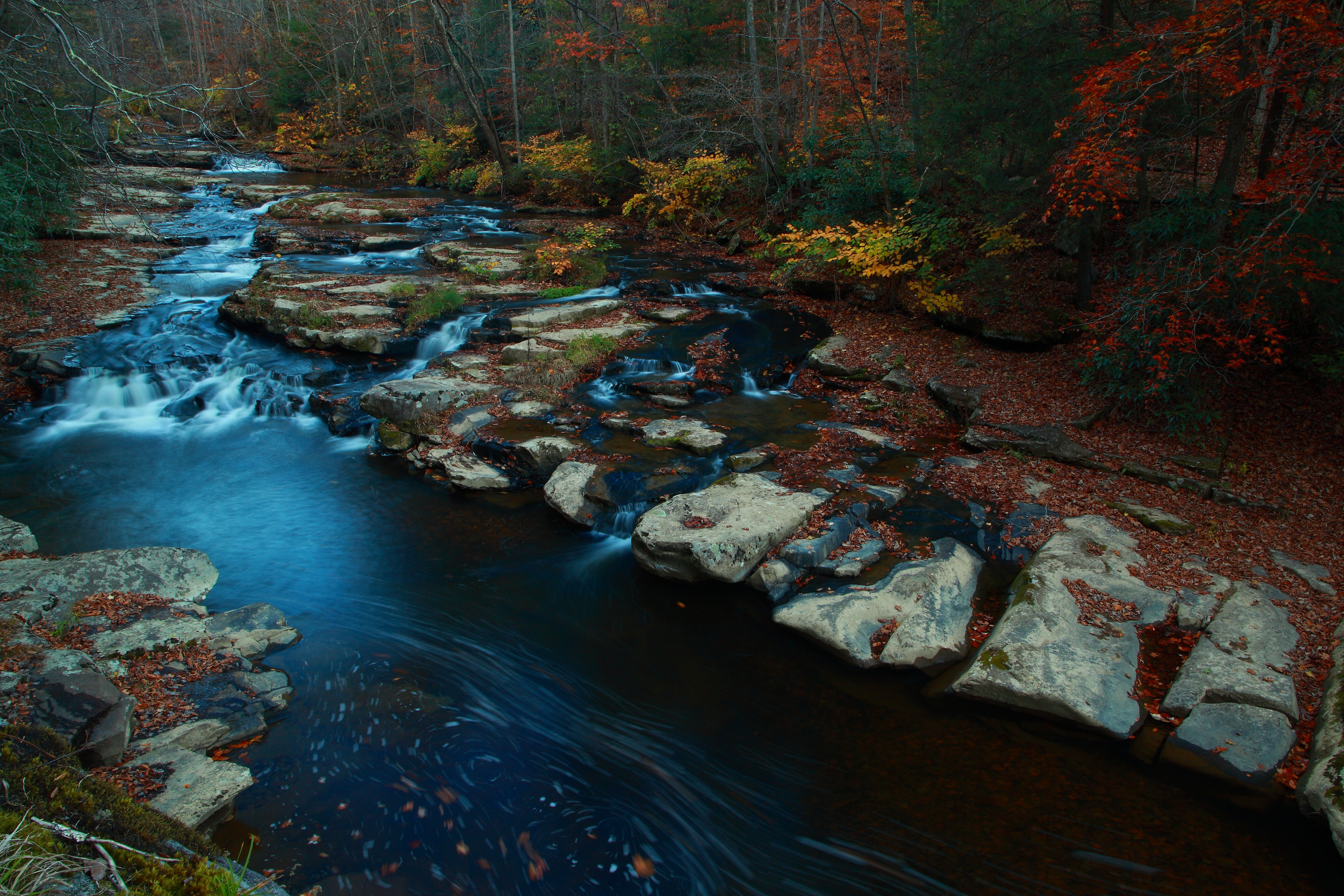 Hawks Nest open for full 2012 Season