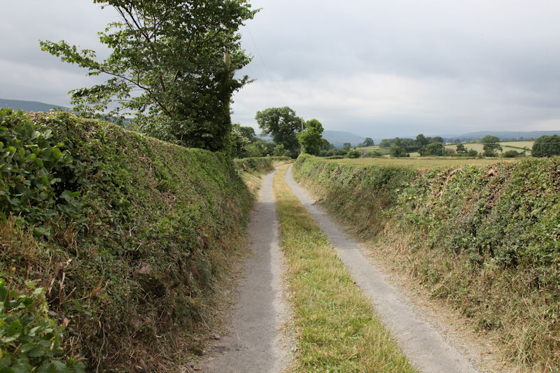 Minor road between Low Bolton and Low Thoresby - geograph.org.uk - 1956525