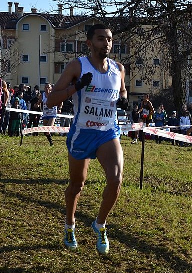 Najibe Salami