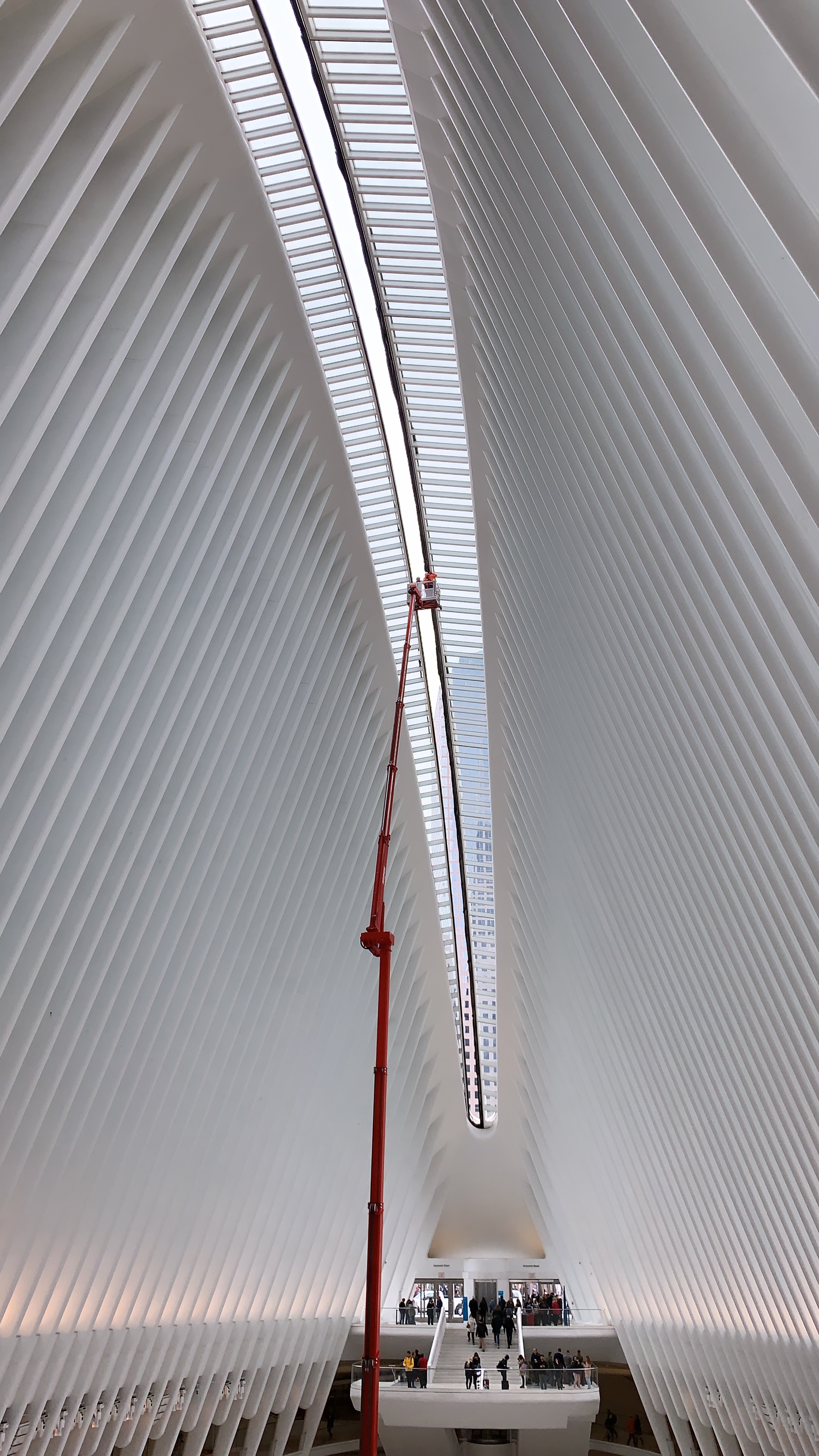 File Oculus Glass Ceiling Going Through Repairs Jpg Wikimedia