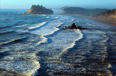 The littoral zone of an ocean is the area close to the shore and extending out to the edge of the continental shelf.