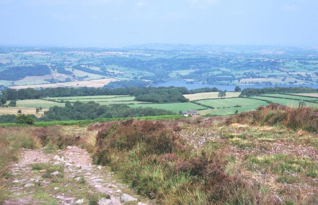 On Beacon Batch - geograph.org.uk - 8099